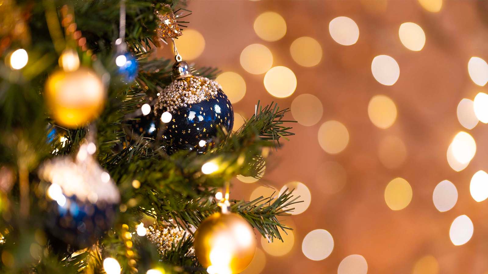 Christmas tree and lights